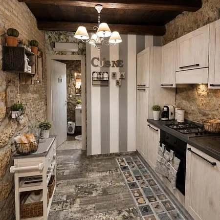 Domus *
